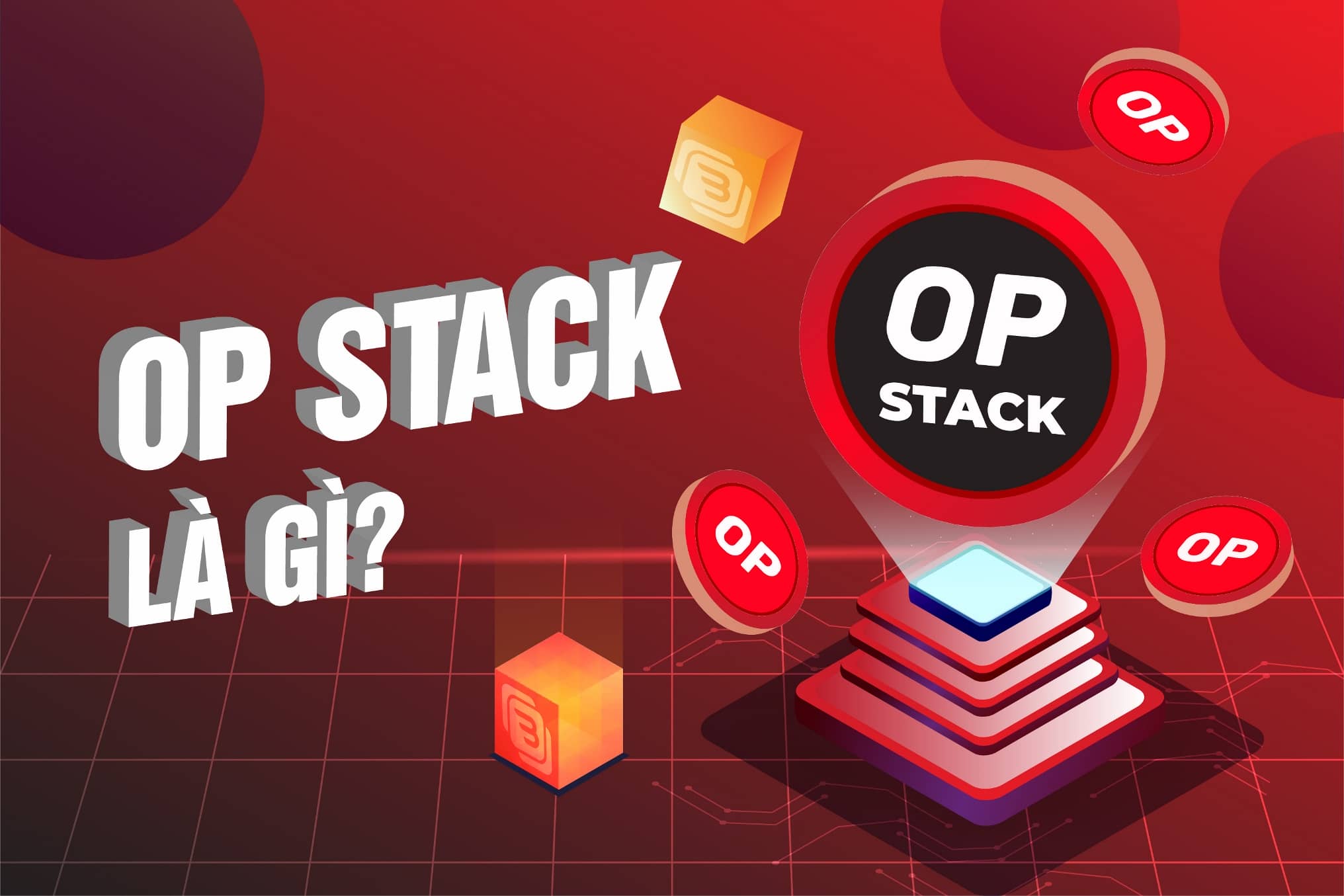 O P L G Kh m Ph Ngh a V ng D ng C a O P Trong Cu c S ng